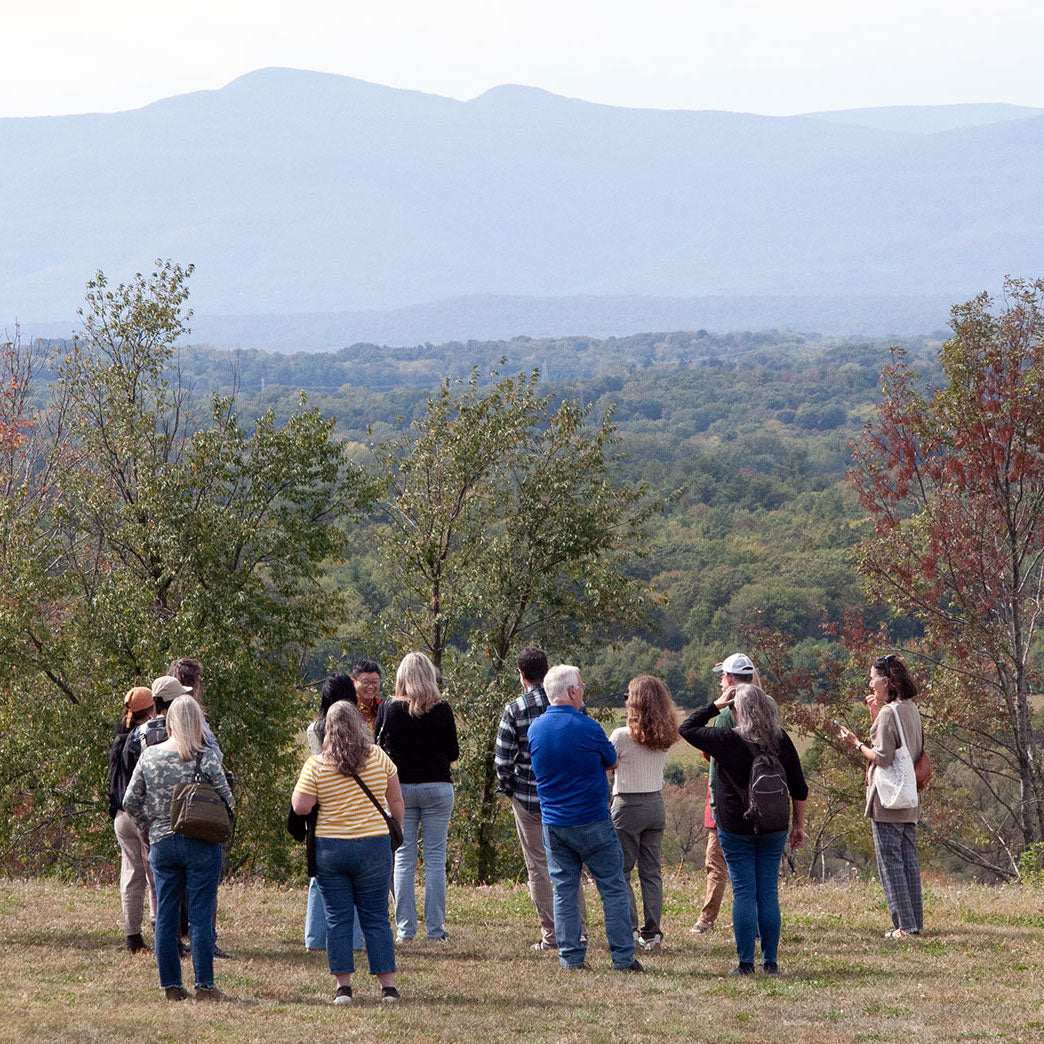 A tour through Klocke Estate